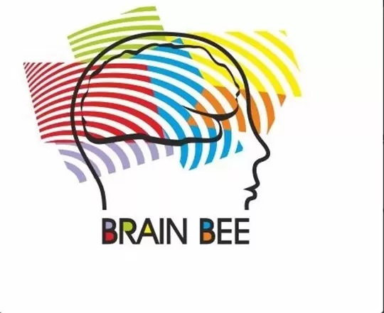 Brain Bee na Gdańskim Uniwersytecie Medycznym 