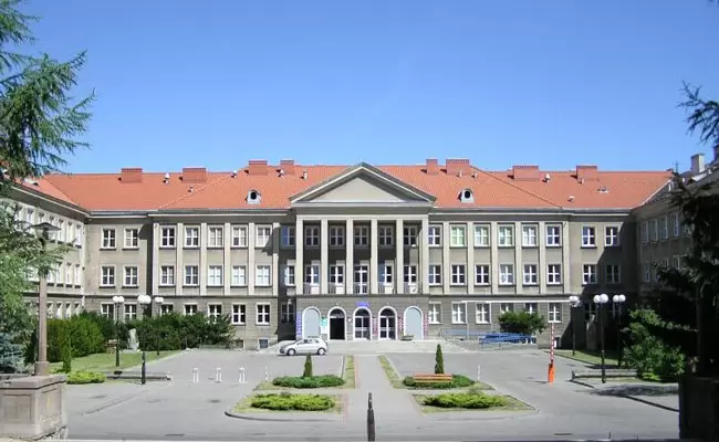 zdjecie