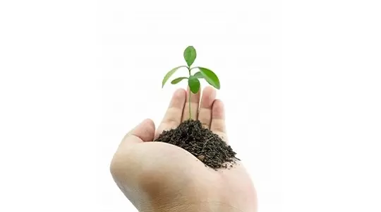 Rośliny ulepszone genetycznie - nadzieja czy zagrożenie? - wykład prof. dr hab. Ewy Łojkowskiej z UG 