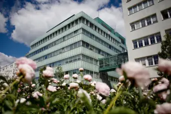 Galeria Uniwersytet Gdański (UG) <small>(Uczelnia publiczna)</small>