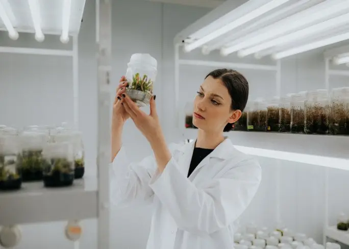 Uniwersytet Gdański (UG)